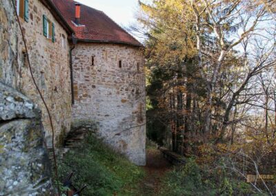 Burggraben Burgruine Hohenrechberg 0092