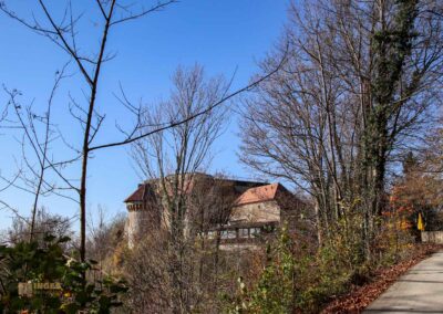 Burgruine Hohenrechberg 0060