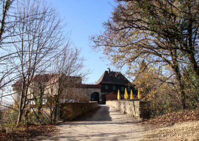 Burgruine Hohenrechberg 0063