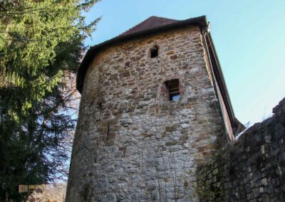 Burgruine Hohenrechberg 0107