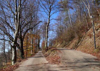 Weg zur Burgruine Hohenrechberg 0053