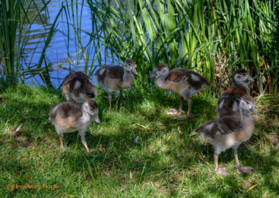Bad Königshofen i. Grabfeld