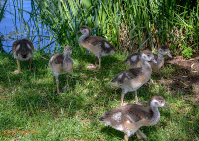 Bad Königshofen i. Grabfeld