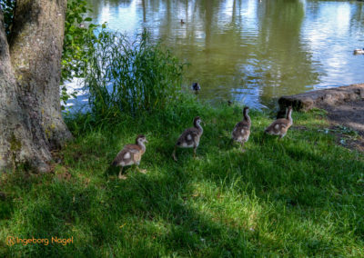 Bad Königshofen i. Grabfeld