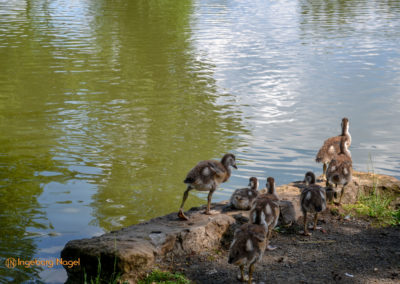 Bad Königshofen i. Grabfeld
