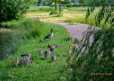 Bad Königshofen i. Grabfeld
