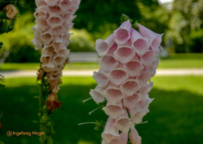 Bad Königshofen i. Grabfeld Kurpark