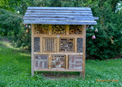 Bad Königshofen i. Grabfeld Kurpark