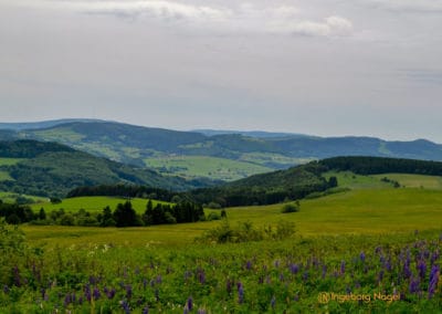 Wasserkuppe_Radom_Rhön