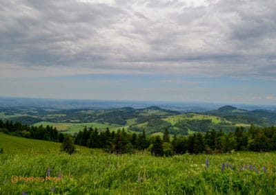 Wasserkuppe_Radom_Rhön