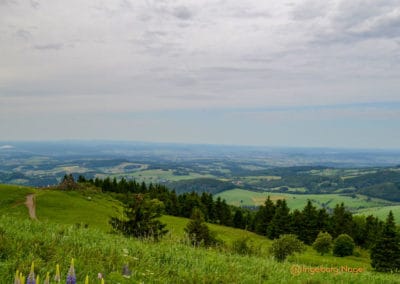 Wasserkuppe_Radom_Rhön