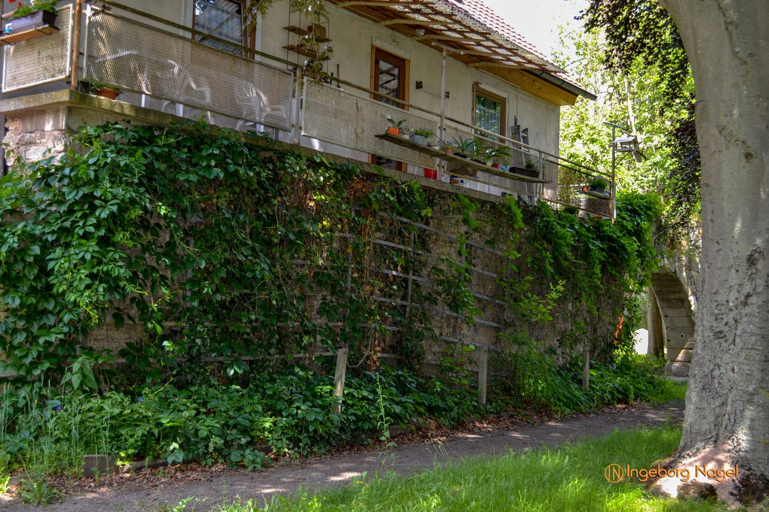 Römhild (Thüringen) 2 Römhild_Thüringen