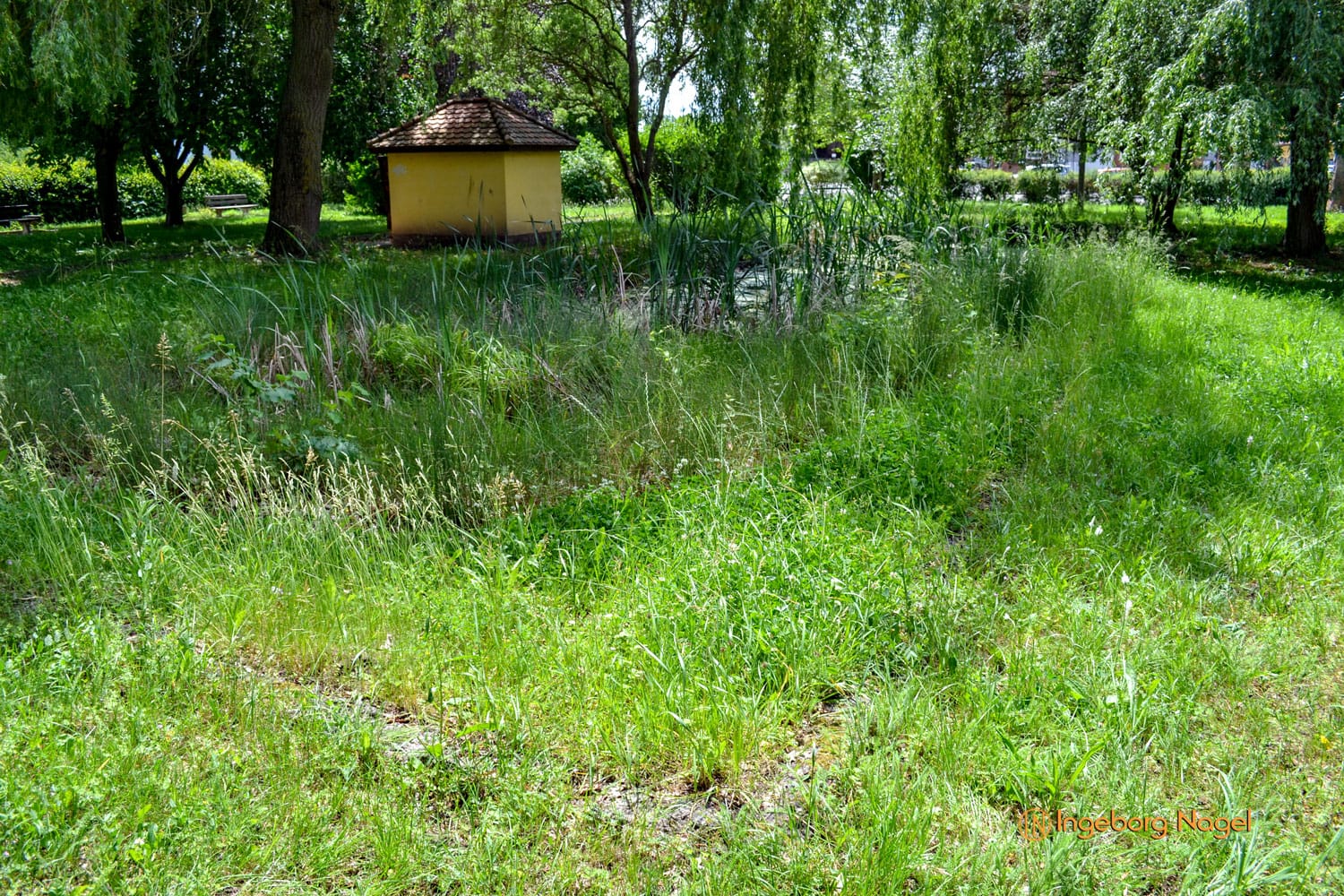 Römhild (Thüringen) 1 Römhild_Thüringen