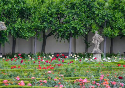 Bamberg Rosengarten