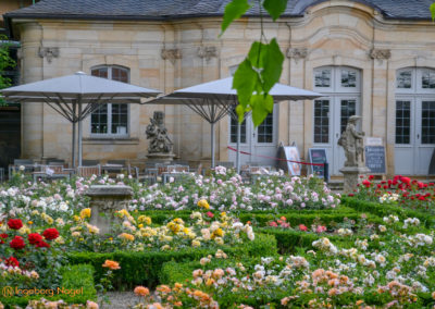 Bamberg Rosengarten