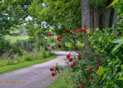 Wasserschloss Brennhausen
