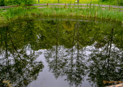 Bad Aibling 21 Kurpark Bad Aibling