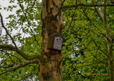 Bad Aibling 22 Kurpark Bad Aibling