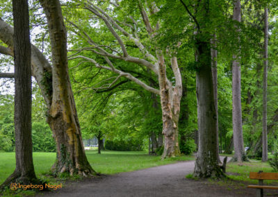 Bad Aibling 23 Kurpark Bad Aibling