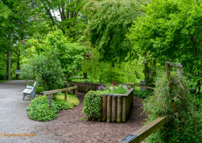 Bad Aibling 25 Kurpark Bad Aibling