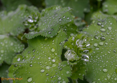 Bad Aibling 28 Kurpark Bad Aibling