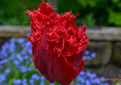 Bad Aibling 29 Kurpark Bad Aibling