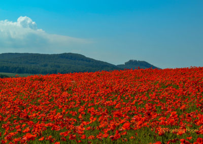 Unterfranken-Thüringer Wald