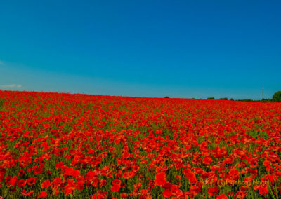 Unterfranken-Thüringer Wald