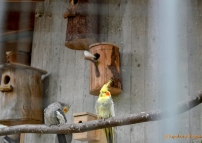 Bad Aibling 34 Kurpark Bad Aibling