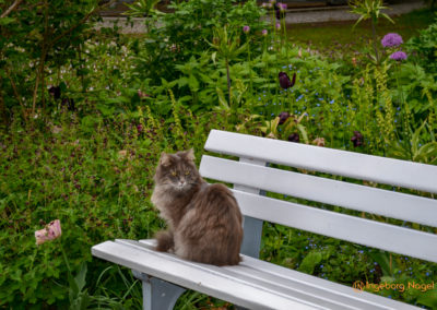 Bad Aibling 36 Kurpark Bad Aibling