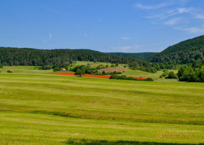 Unterfranken-Thüringer Wald