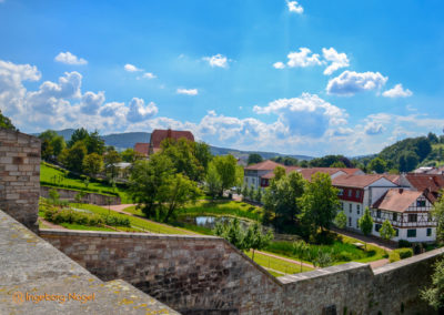 Schloss Wilhelmsburg Schmalkalden
