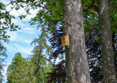 Schlosspark Essingen 0120