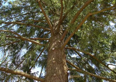 Schlosspark Essingen 2809