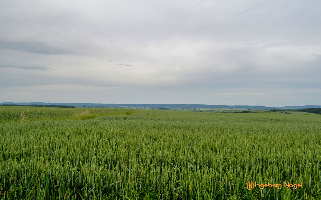 Unterfranken – die Gegend rund ums Grabfeld