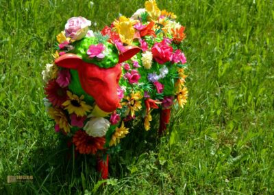 bunte Schafe im Essinger Schlosspark 0071