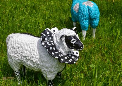 bunte Schafe im Essinger Schlosspark 0075