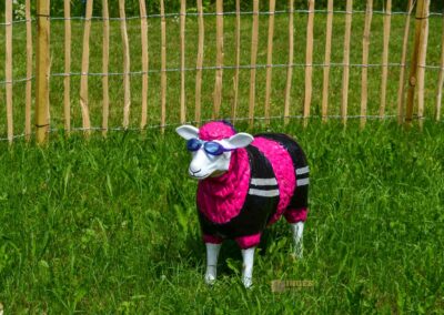 bunte Schafe im Essinger Schlosspark 0077