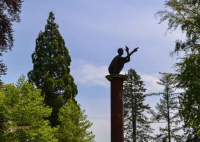 der Späher im Essinger Schlosspark 0101