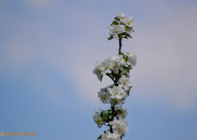 Mein Heimatort Waldstetten 12 Waldstetten Ostalbkreis