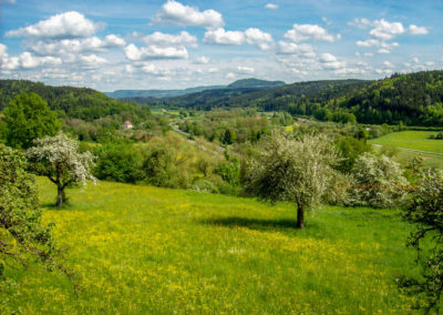 Kloster Lorch 33 Kloster Lorch