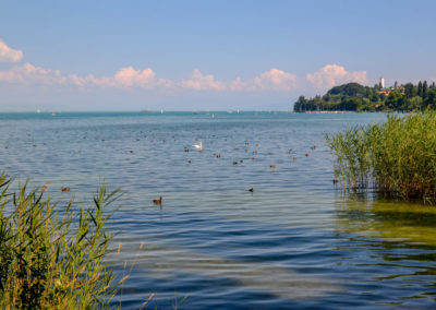 Bodensee