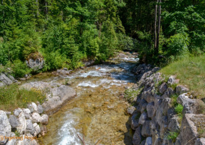 Im Zauberwald bei Ramsau 4 Zauberwald bei Ramsau