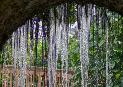 Schmetterlingshaus Insel Mainau