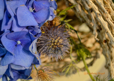 Blumenschau 'Heimatliebe' Schwäbisch Gmünd - Remstalgartenschau 2019 5 Schwäbisch Gmünd Remstalgartenschau 2019 Blumenschau