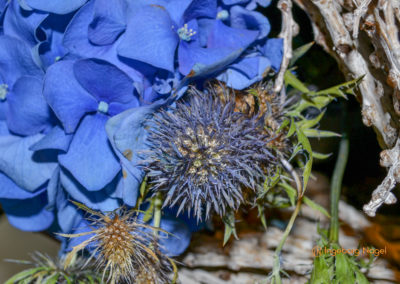 Blumenschau 'Heimatliebe' Schwäbisch Gmünd - Remstalgartenschau 2019 6 Schwäbisch Gmünd Remstalgartenschau 2019 Blumenschau
