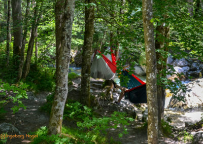 Im Zauberwald bei Ramsau 5 Zauberwald bei Ramsau