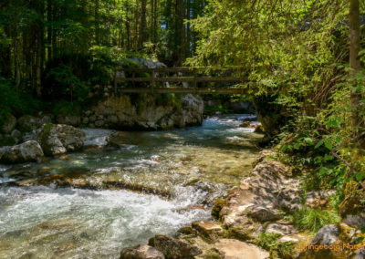 Im Zauberwald bei Ramsau 6 Zauberwald bei Ramsau