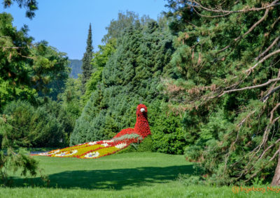 Insel Mainau