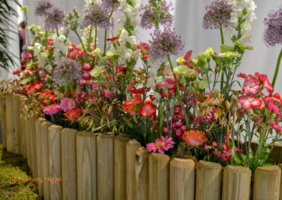 Blumenschau 'Heimatliebe' Schwäbisch Gmünd - Remstalgartenschau 2019 12 Schwäbisch Gmünd Remstalgartenschau 2019 Blumenschau